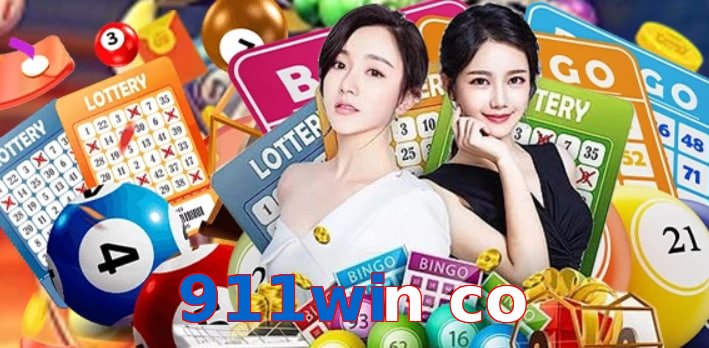 911win co