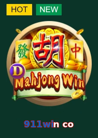 911win co