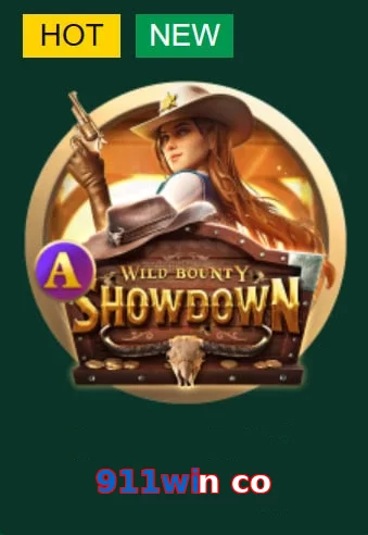 911win co