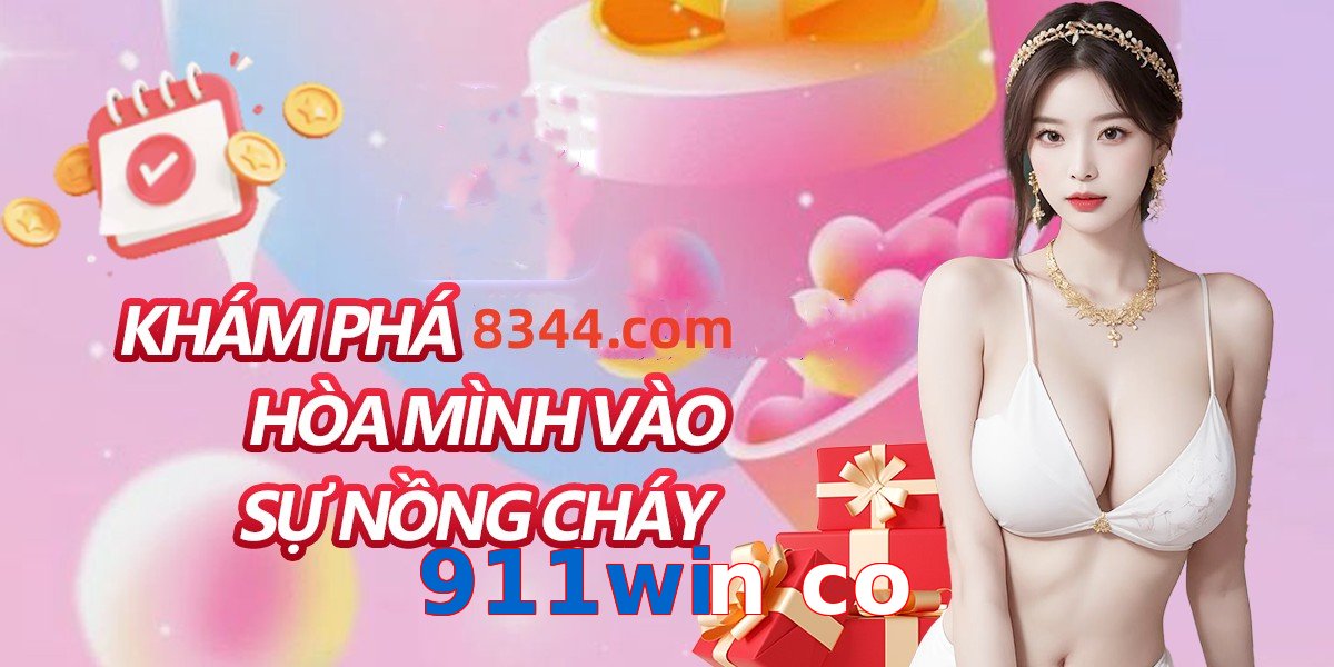 911win co