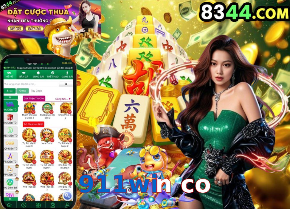 911win co